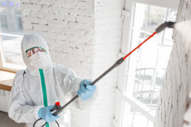 Harbor Springs, MI Mold Remediation Company